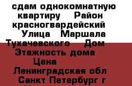 сдам однокомнатную квартиру  › Район ­ красногвардейский  › Улица ­ Маршала Тухачевского  › Дом ­ 9 › Этажность дома ­ 9 › Цена ­ 19 000 - Ленинградская обл., Санкт-Петербург г. Недвижимость » Квартиры аренда   . Ленинградская обл.,Санкт-Петербург г.